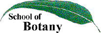 School of Botany